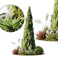 Modern shrubs and flowers 3d model