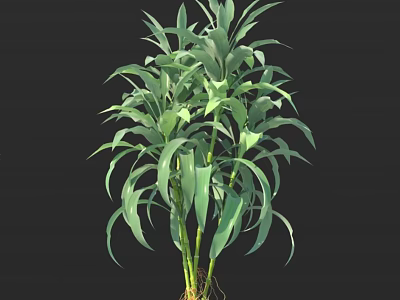 Bonsai Potted Plant With Long Green Leaves Stems And Visible Roots 3d model