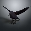 Detailed Black Crow With Spread Wings Standing On Gray Background 3d model