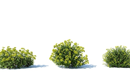 Modern shrub plant landscape 3d model