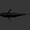 Spotted Fish with Intricate Dark Pattern and Sharp Dorsal Fin on Smooth Gray Surface 3d model