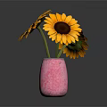 Pink Vase With Bright Yellow Sunflowers And Dark Center On Dark Background
