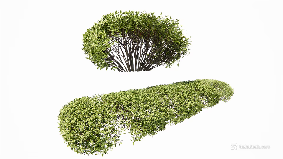 Green Pruned Garden Shrubs With Round And Long Shapes For Landscaping Design 3d model 