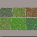Various Colored Grass Turf Samples For Landscaping And Garden Design