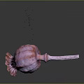 Pinkish Purple Poppy Pod With Stem And Residual Petals 3D Rendered On Dark Background