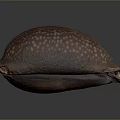 Detailed Biological Organ With Fine Hair Texture And Natural Surface Features
