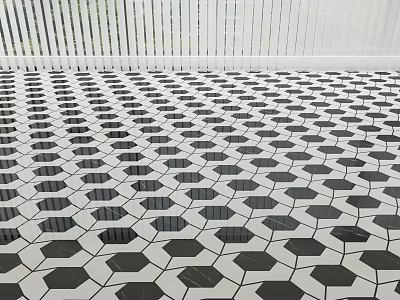 Black And White Hexagonal Floor Tiles With Modern Geometric Pattern Design 3d model