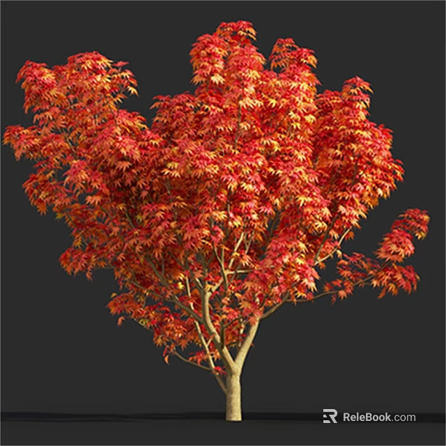 Vibrant Deciduous Tree With Red And Orange Foliage And Lush Canopy 3d model 