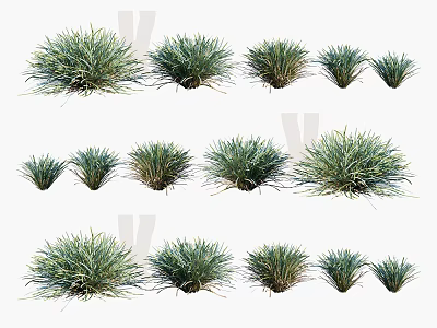 Various Types Of Green Decorative Grass Clumps In Different Sizes For Landscaping 3d model