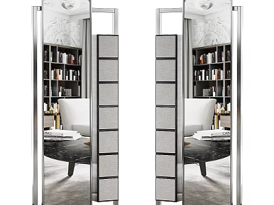 Contemporary Full Length Mirrors In Living Room With Bookshelves Sofa And Coffee Table 3d model