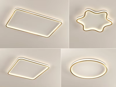 Modern Ceiling Lights With Different Shapes Stylish Design And LED Illumination 3d model