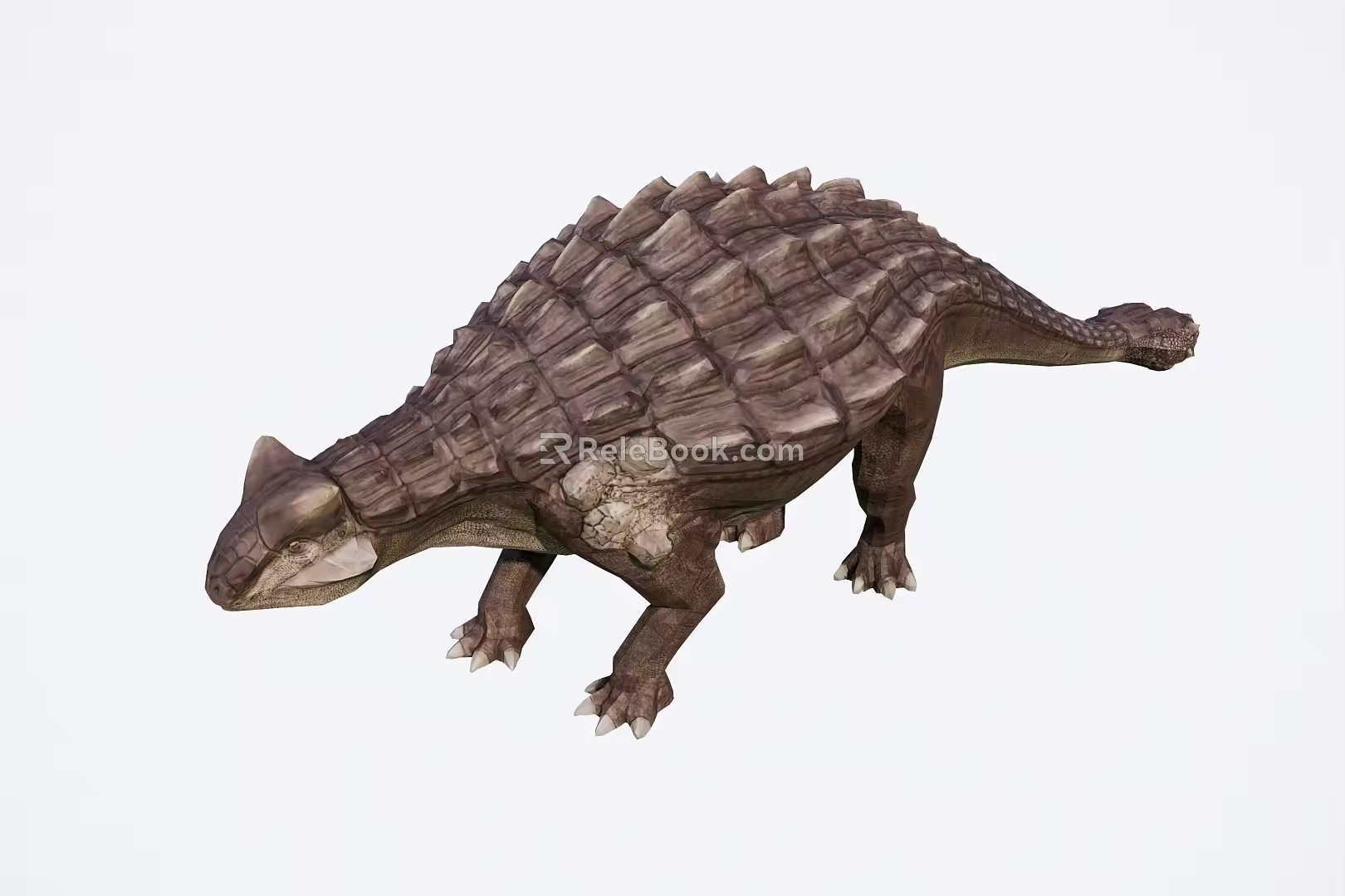The angylosaurus 3d model
