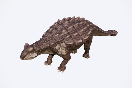 The angylosaurus 3d model