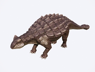 The angylosaurus 3d model