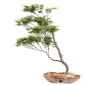Decorative Bonsai Tree with Curved Trunk Lush Green Leaves and Natural Stone Base