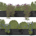 Stylish Black Flower Pots With Purple Flowers Green Shrubs And Blue Blooms