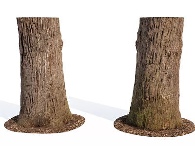 Two Natural Stone Wood Tree Trunks With Rough Bark And Base 3d model