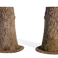 Two Natural Stone Wood Tree Trunks With Rough Bark And Base