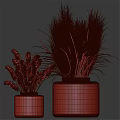 Decorative Ornament Set with Green and Transparent Vases Dried Grasses and Wheat Stems
