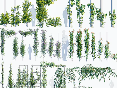 Climbing Vines With Lush Green Foliage In Various Decorative Growth Patterns 3d model