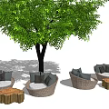 Outdoor Sofa Set With Wicker Design Under Tree And Wooden Coffee Tables