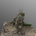 Natural Scene Featuring Earth Mound With Dry Branches Tree Roots Green Log And Scattered Soil