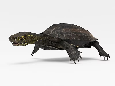 Brown Reptile Turtle With Dark Shell Yellow Striped Head And Sharp Claws 3d model