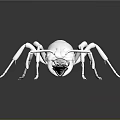 Realistic Detailed White Ant with Extended Legs on Reflective Black Surface