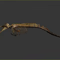 Detailed Fish Skeleton Anatomical Structure With Bone Remains And Skeletal Framework