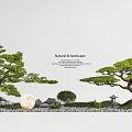 Natural Courtyard Garden With Pine Trees Full Moon Rock Formations and Stone Lantern