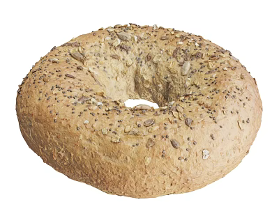 Whole Grain Bagel Topped with Mixed Seeds Like Sesame and Sunflower Seeds 3d model