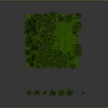 Green Forest Landscape With Dense Trees Lush Green Grass And Surrounding Trees In Square Area