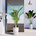 Potted Plants In Modern Interior With Tropical Leaves White Pots Tiled Wall And Decorative Elements
