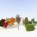 Trees with various colors shapes and red orange green bushes under blue sky white ground