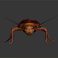 Red and Orange Cockroach with Long Antennae and Shiny Exoskeleton on Dark Background