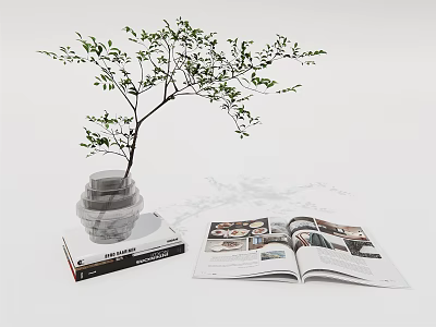 Green Leaf Plant in Transparent Vase on Book with Open Magazine Nearby 3d model