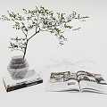 Green Leaf Plant in Transparent Vase on Book with Open Magazine Nearby