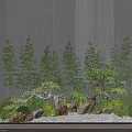 Small Garden Landscape With Various Trees Stones Shrubs Gravel And Wooden Planks Against Gray Walls
