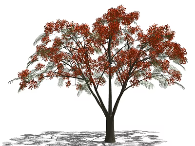 Tall Arbor With Red Flowers And Green Leaves In Garden Landscape 3d model