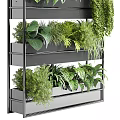 Stylish Black Multi Layer Metal Plant Stand With Various Green Plants For Indoor Decor