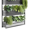 Plant Rack Shelf Storage Rack Plant Green Plant Flowers and Grasses Iron Rack 3d model