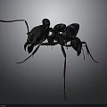 Detailed 3D Model of Ant With Black Body and Red Legs on Dark Background