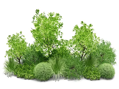 shrub shrub combination shrub ball courtyard shrub shrub cluster 3d model