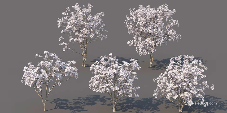 Multiple Arbor Trees With Lush White Flowers And Natural Growth Forms 3d model