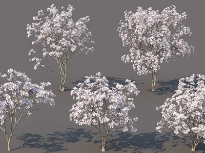 Multiple Arbor Trees With Lush White Flowers And Natural Growth Forms 3d model
