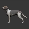 Realistic Brown and White Dog Standing Against Dark Background With Reflection