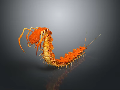 Orange Centipede Sculpture With Detailed Legs And 3D Artistic Carving Design 3d model