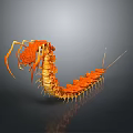 Orange Centipede Sculpture With Detailed Legs And 3D Artistic Carving Design