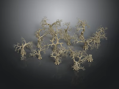 Multiple Dry Tree Models With Intricate Branch Structures And Natural Shapes 3d model