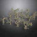 Multiple Dry Tree Models With Intricate Branch Structures And Natural Shapes